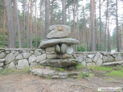 Mojonavalle - Sestil de Maillo: Bosques de Canencia;fotos hervas tablas de daimiel fotos sierra de m